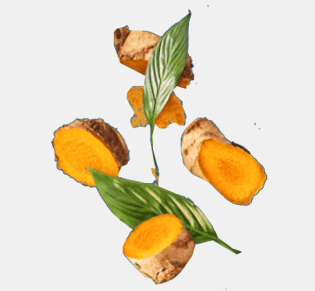 Superfood Ingredients
