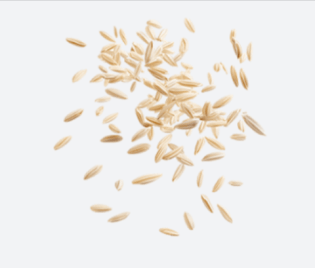 Organic Fiber